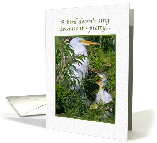 Baby Great Egret Singing His Song card (410393)