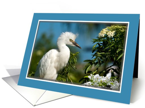 Snowy Egret With Flowers Blank card (440077)