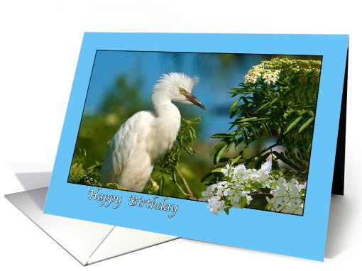 Snowy Egret With Flowers Birthday card (440078)