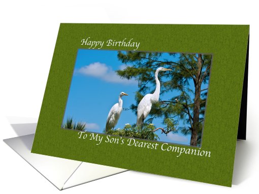 Birthday Card for Son's Companion card (454949)