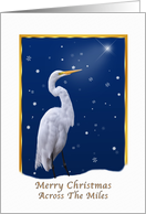 Christmas, Across the Miles, Great Egret Bird card