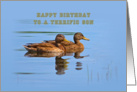 Son’s Birthday Card with Ducks card