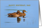 Dad’s Birthday Card with Ducks card