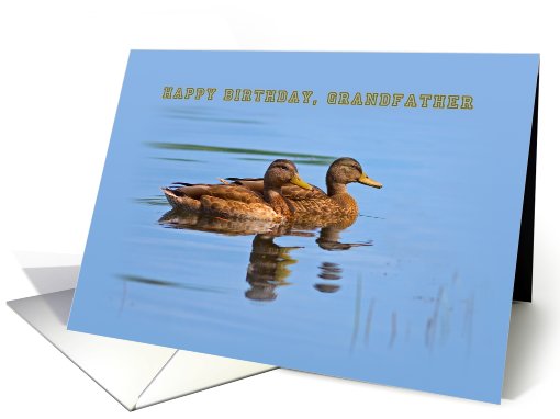 Grandfather's  Birthday Card with Ducks card (487577)