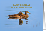 Friend’s Birthday Card with Ducks card