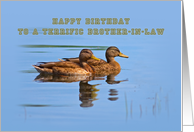 Brother-in-law’s Birthday Card with Ducks card