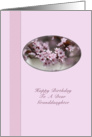 Granddaughter’s Birthday Card with Pink Flowers card
