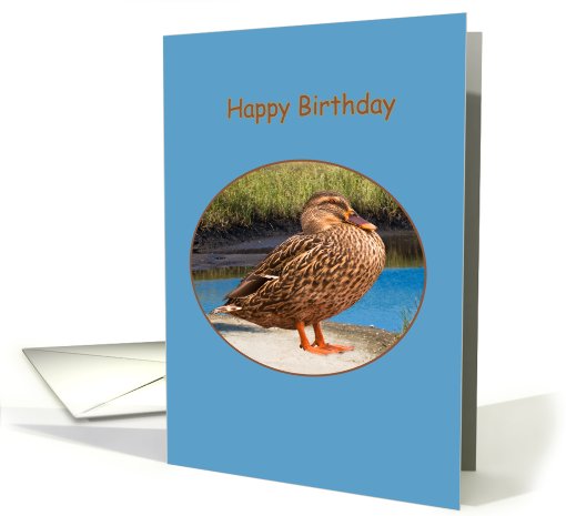 Birthday Card with Mallard Duck card (506120)