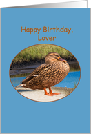 Lover’s Birthday Card with Mallard Duck card