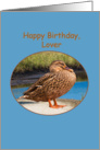 Lover’s Birthday Card with Mallard Duck card