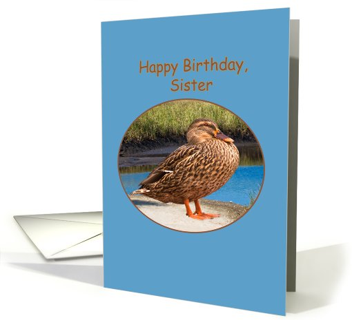 Sister's Birthday Card with Mallard Duck card (506566)