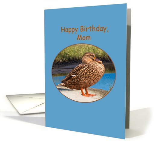 Mom's Birthday Card with Mallard Duck card (506570)