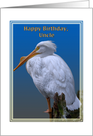 Uncle’s Birthday Card with American White Pelican card