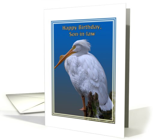 Son-in-law's Birthday Card with American White Pelican card (507435)