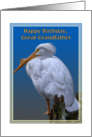 Great-Grandfather’s Birthday Card with American White Pelican card