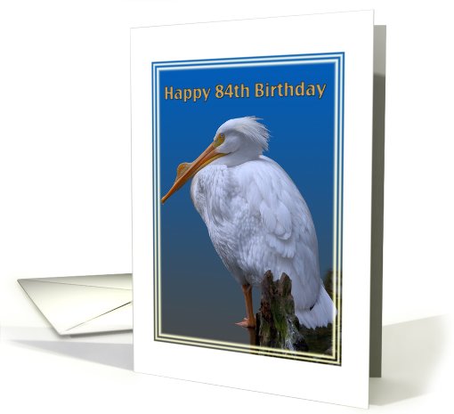 84th Birthday Card with American White Pelican card (507491)