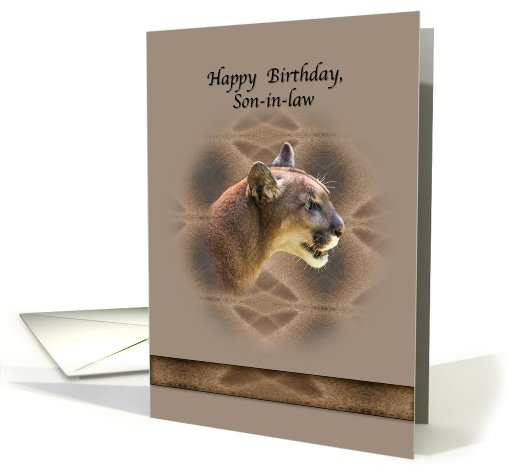 Son-in-law's Birthday Card with Cougar card (513544)