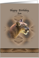 Son’s Birthday Card with Cougar card