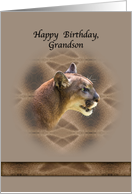 Grandson’s Birthday Card with Cougar card