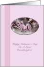 Valentine Card for Granddaughter with Pink Flowers card