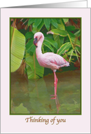 Thinking of You Card with Pink Flamingo card