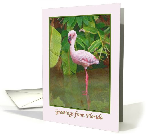 Greetings from Florida Card with Pink Flamingo card (538311)