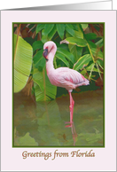 Greetings from Florida Card with Pink Flamingo card