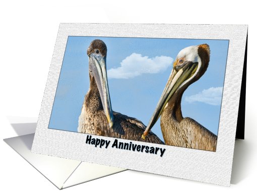 Anniversary Card with Brown Pelicans card (538976)