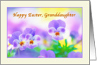 Granddaughter’s Easter Card with Pansies card
