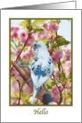 Hi Hello Card with Bird and Flowers card