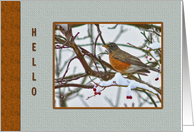 Hi/Hello Card with Robin card