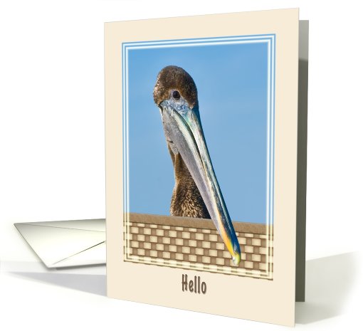 Hi/Hello Card with Brown Pelican card (582288)