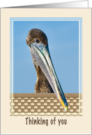 Thinking of You Card with Brown Pelican and Flowers card