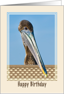 Birthday Card with Brown Pelican and Flowers card