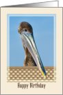 Birthday Card with Brown Pelican and Flowers card