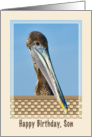 Son’s Birthday Card with Brown Pelican and Flowers card