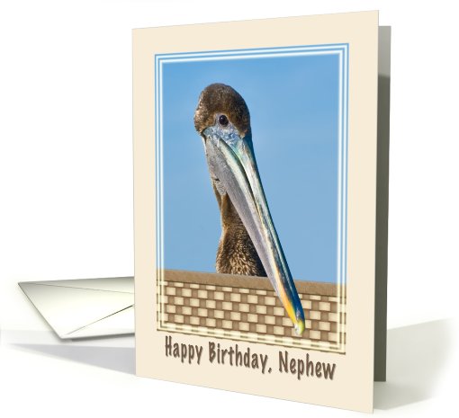 Nephew's Birthday Card with Brown Pelican and Flowers card (582469)