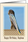 Nephew’s Birthday Card with Brown Pelican and Flowers card