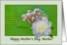 Mother’s Day Card for Mother with Pink and White Flowers card