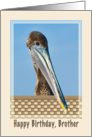 Brother’s Birthday Card with Brown Pelican card