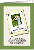 Nephew’s Birthday, Humor, Cattle Egret Bird card