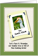 Grandpa’s Birthday, Humor, Cattle Egret Bird card