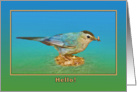 Hi/Hello Card with Catbird card