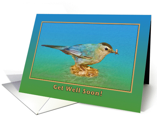 Get Well Card with Catbird card (584067)