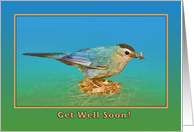 Get Well Card with Catbird card