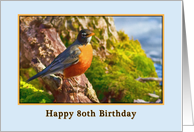 80th Birthday with Robin card