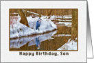 Son’s Birthday Card with Blue Heron Waiting for Spring card