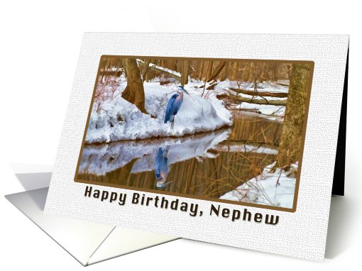 Nephew's Birthday Card with Blue Heron Waiting for Spring card