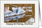 Brother’s Birthday Card with Blue Heron Waiting for Spring card