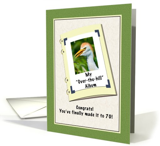 70th Birthday, Humor, Cattle Egret Bird card (609088)
